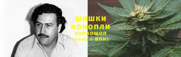 spice Алзамай