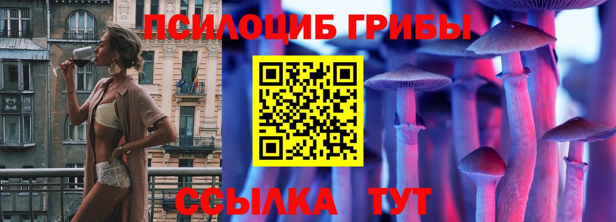 Амурск  Псилоцибиновые грибы Magic Shrooms  Вход с VPN 